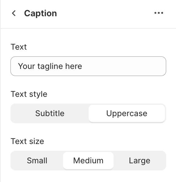Caption block settings
